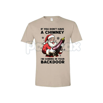 Backdoor Santa Christmas Joke T-Shirt - Funny Naughty Holiday Slogan Tee, Retro R&B Music Gift, Soft & Comfortable Xmas Top