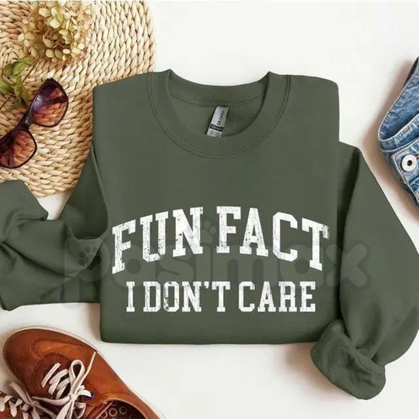 Fun Fact I Don't Care Sweatshirt | Sarcastic College Sweatshirt | Funny Academic Burnout Crewneck | Relatable Student Jumper | Minimalist Sassy Pullover | University Style Sarcasm Shirt