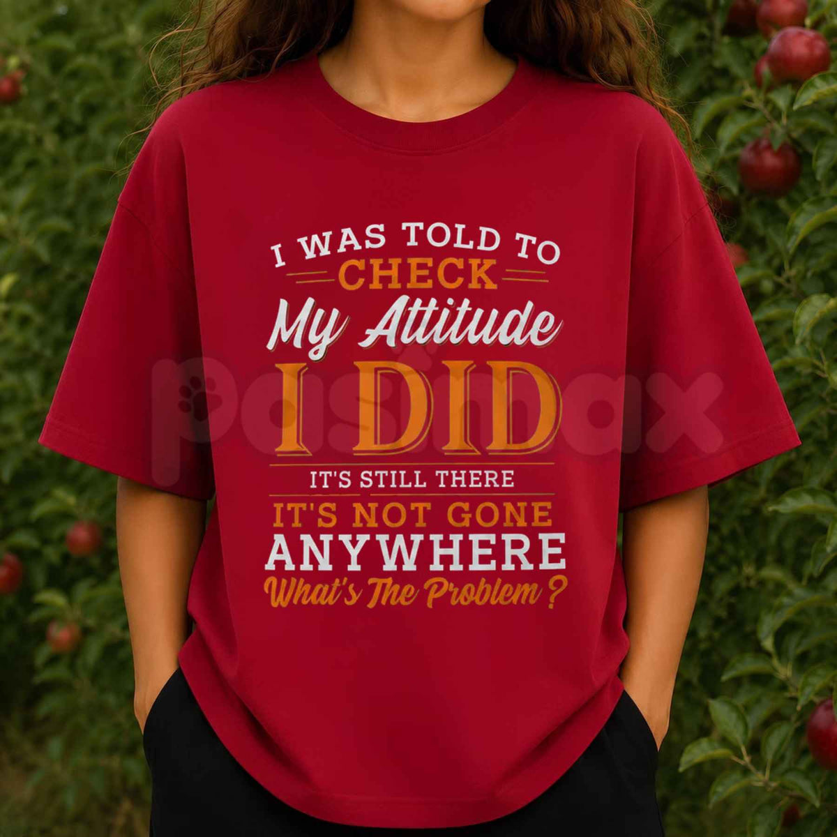 I Was Told To Check My Attitude I Did T-Shirt – Funny Sarcastic Quote Unisex Tee