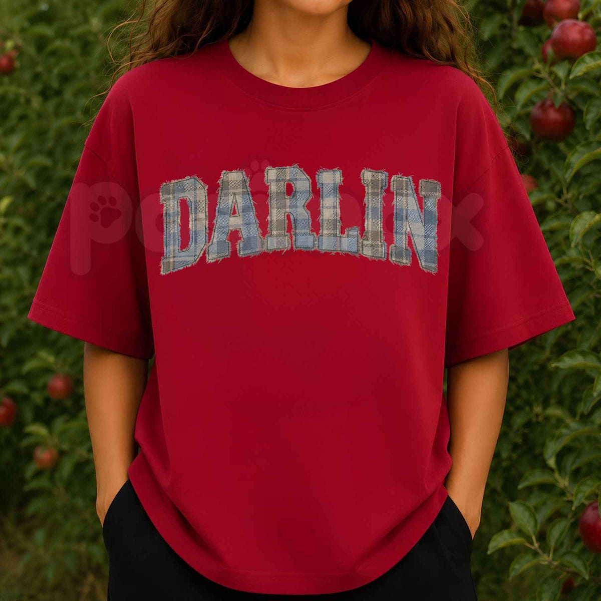 Plaid Darlin Graphic T-Shirt – Country Western Southern Style Unisex Tee