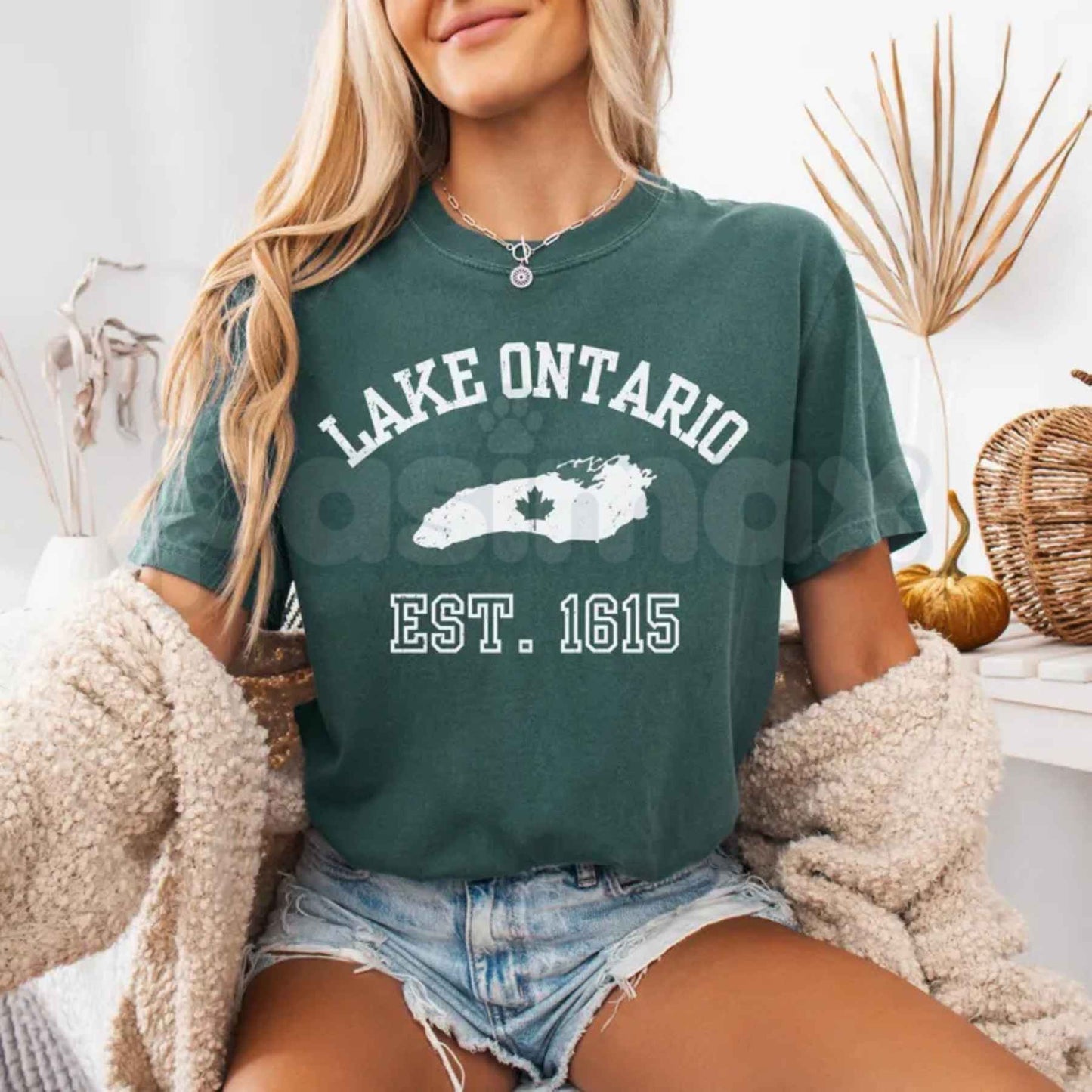 Comfort Colors® Lake Ontario Anti-Trump T-Shirt – Political Protest Graphic Tee, Activist Great Lakes Unisex Top