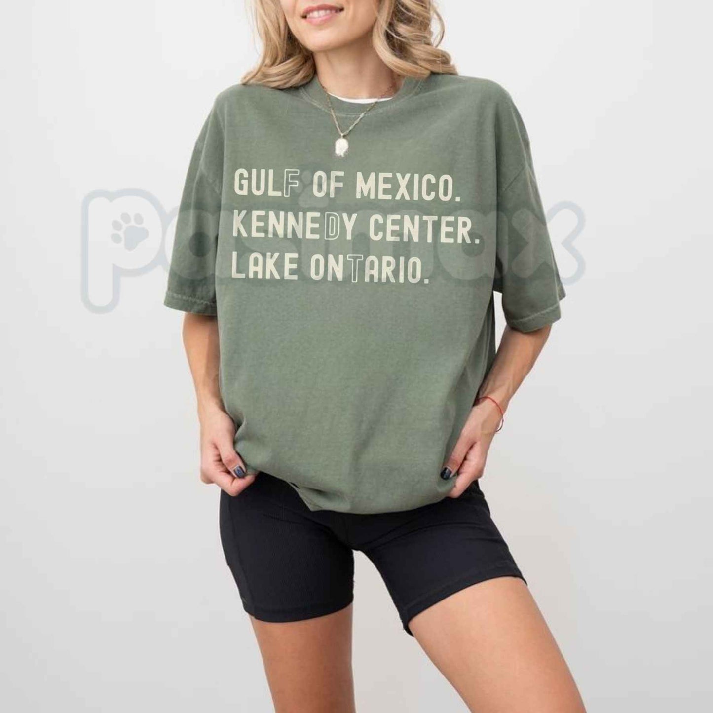 Comfort Colors® Lake Ontario Kennedy Center T-Shirt – Subtle Funny FDT Protest Graphic Tee, Pro-Democracy Activism Unisex Top