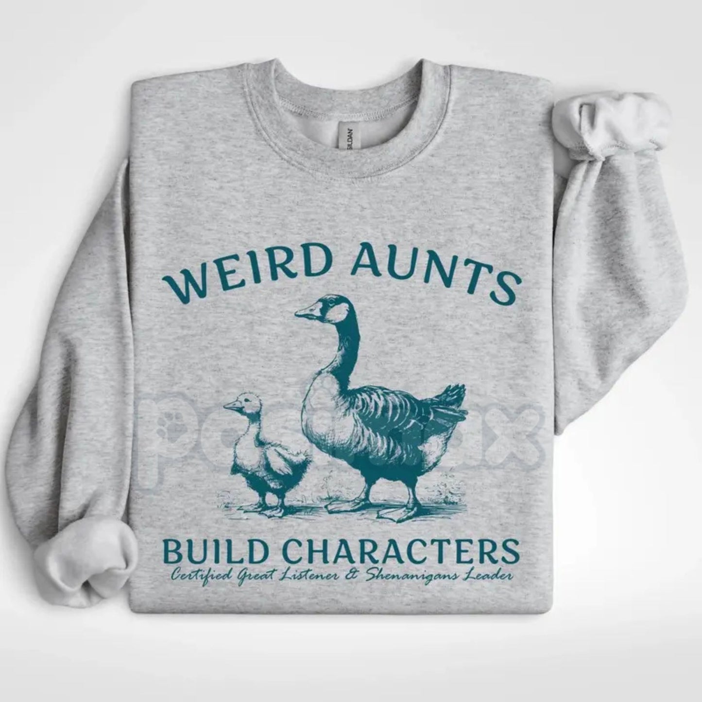 Weird Aunts Build Character Sweatshirt | Funny Cool Aunt Crewneck | Aesthetic Fun Aunt Jumper | Gift for Best Aunt Ever | Eccentric Auntie Graphic Shirt