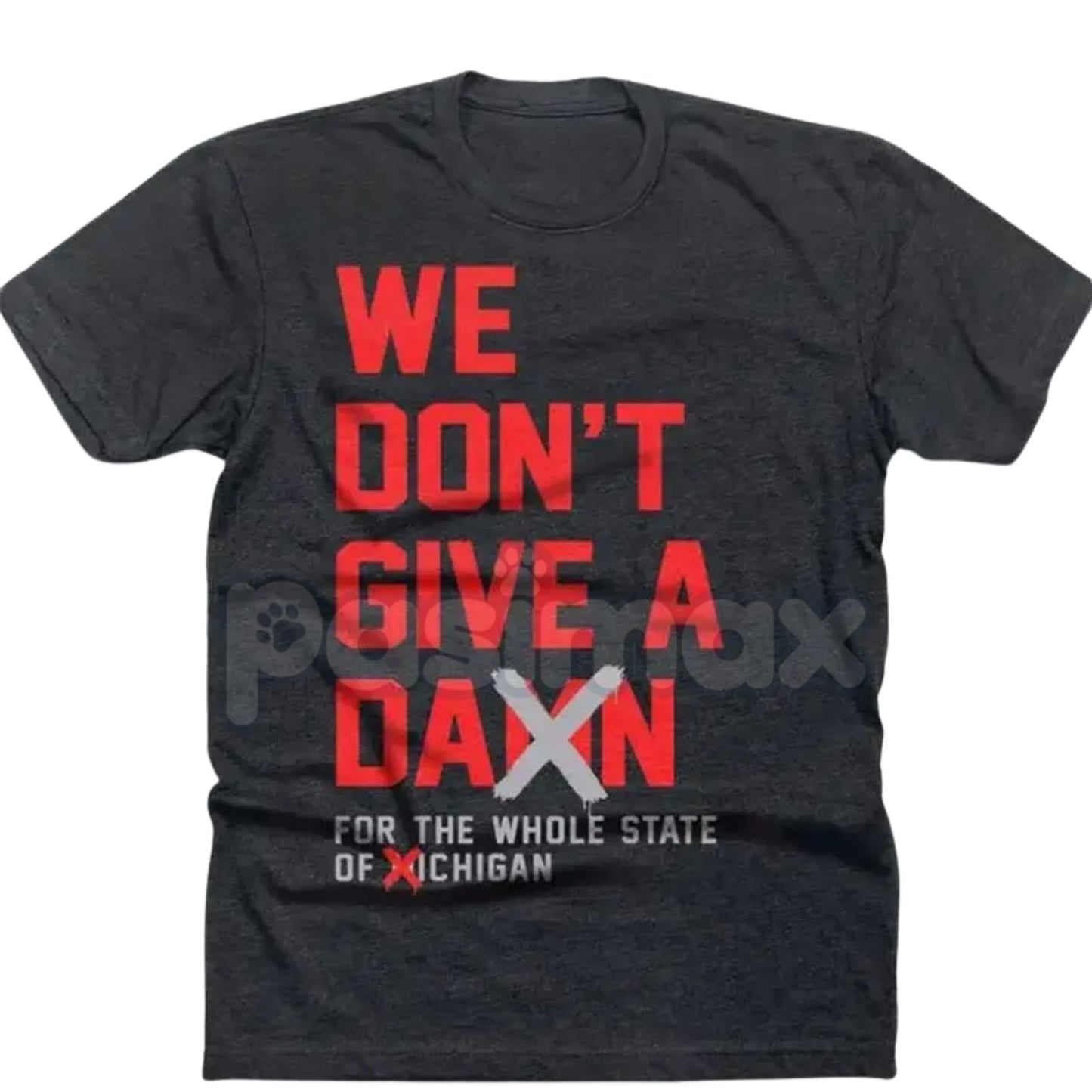 "We Don't Give A Damn For The Whole State" T-Shirt - College Football Rivalry Slogan Tee, Defiant Fan Statement Apparel, Game Day Fan Gift