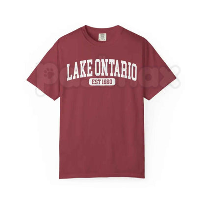 Comfort Colors® Lake Ontario Est. 1660 T-Shirt – Funny Canada Political Satire Graphic Tee, Great Lakes Border Humor Unisex Top