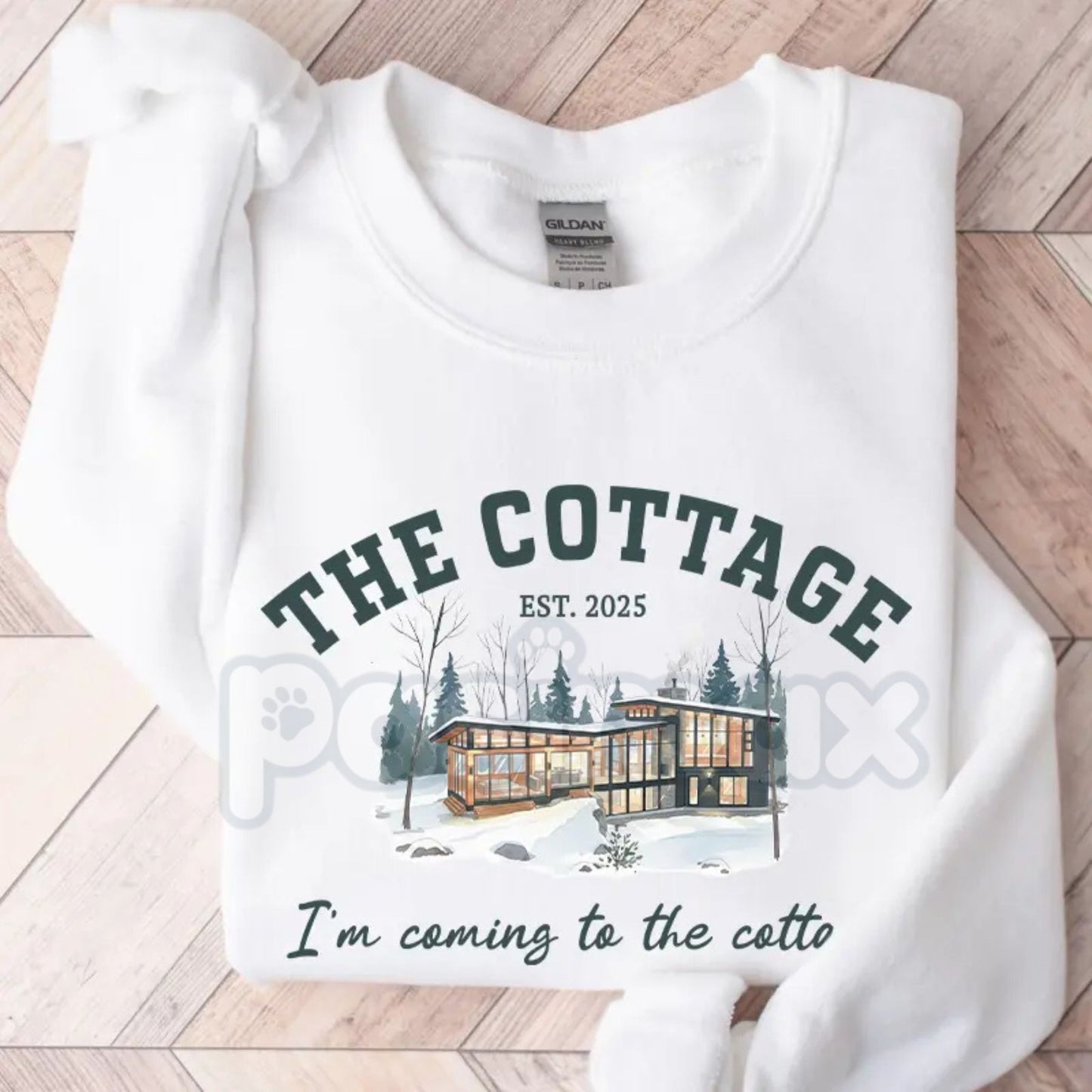 The Cottage Heated Rivalry Shirt | Jane and Lily Secret Names Hockey Sweatshirt | Ilya and Shane Sports Drama Gift | MM Hockey Romance Bookish Jumper