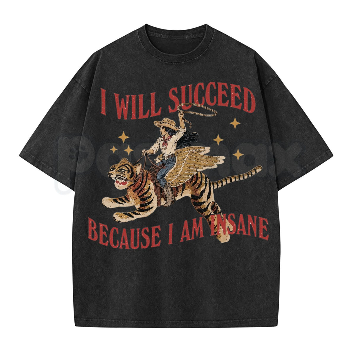 I Will Succeed Because I Am Insane Vintage Cowgirl Graphic Washed T-Shirt – Retro Rodeo Western Graphic Tee, Acid Wash Lightweight Cotton Unisex Top