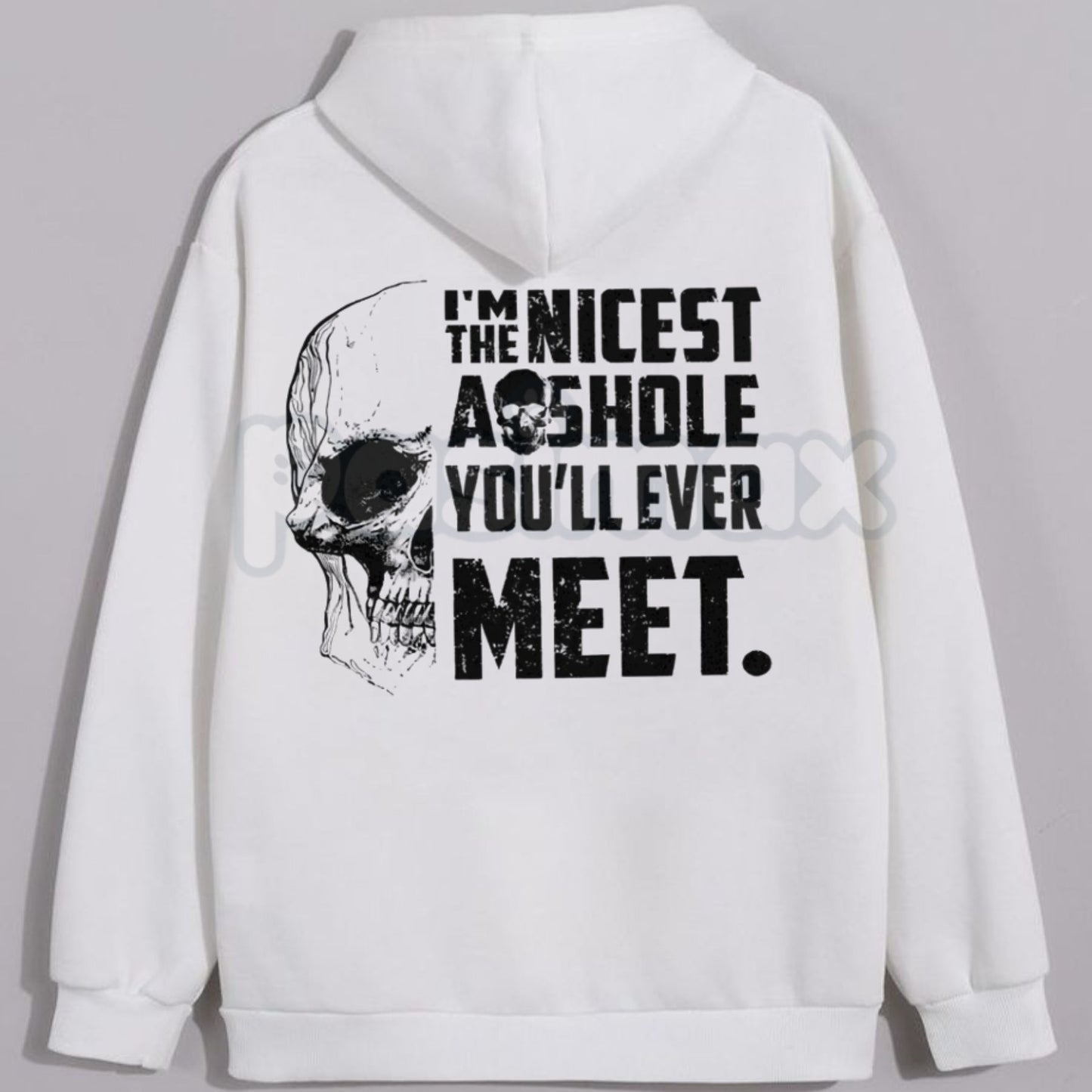 "I'M THE NICEST AS*HOLE YOU'LL EVER MEET" Funny Hoodie – Sarcastic Slogan Pullover, Blunt Humour Streetwear Sweatshirt, Unisex