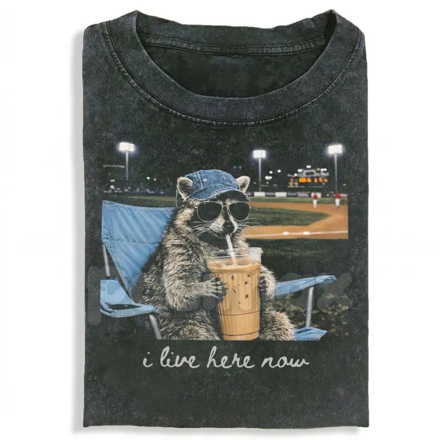 Comfort Colors® Funny Raccoon Ballfield T-Shirt – Retro Trash Panda Baseball Tee, Sarcastic Softball Graphic Shirt, Aesthetic Sports Humour Gift