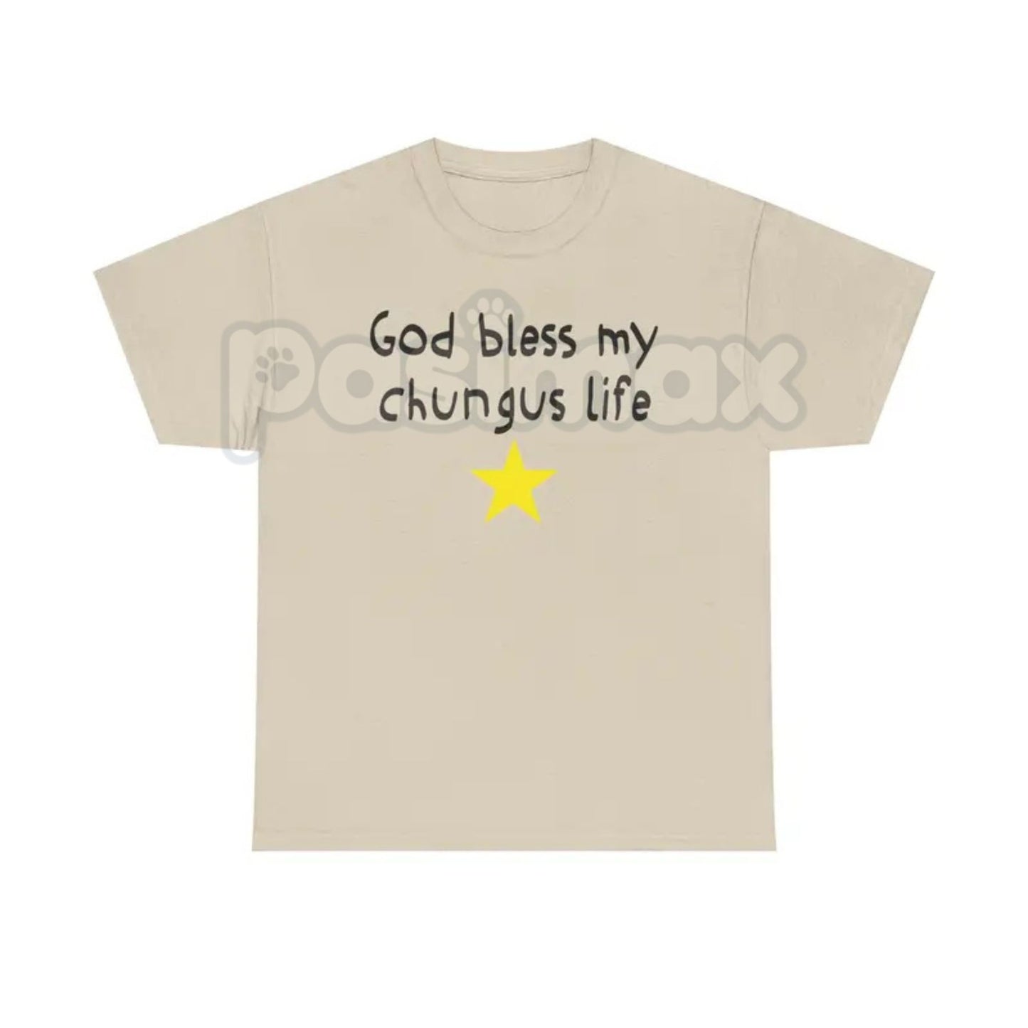 "God Bless My Chungus Life" Funny T-Shirt - Ironic Big Chungus Meme Tee, Sarcastic Religious Parody Shirt, Wholesome Internet Culture Apparel