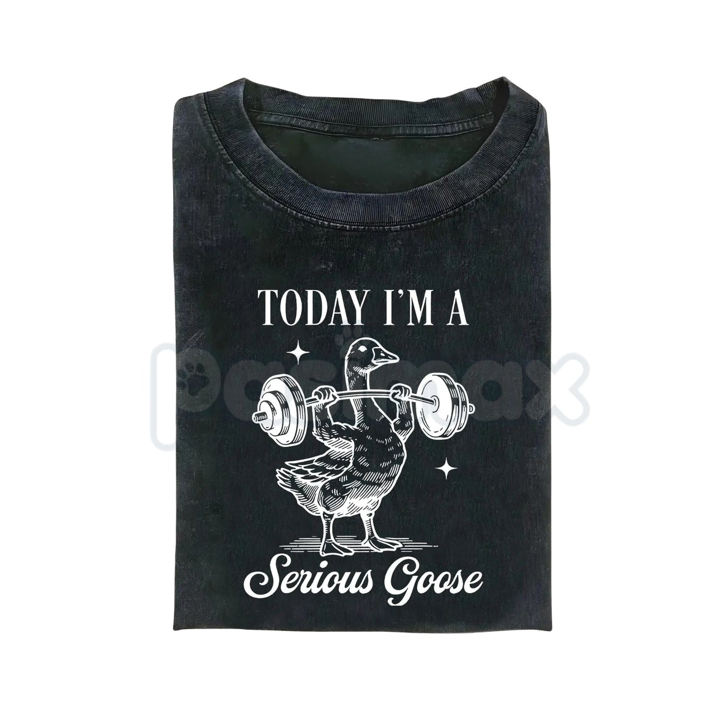 Today I'm a Serious Goose Funny T-Shirt – Men’s Vintage Washed Graphic Tee, Lightweight Sarcastic Animal Streetwear Top