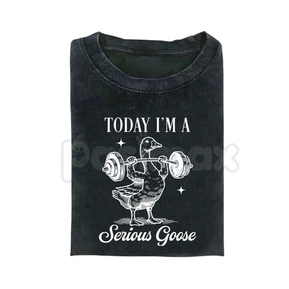 Today I'm a Serious Goose Funny T-Shirt – Men’s Vintage Washed Graphic Tee, Lightweight Sarcastic Animal Streetwear Top