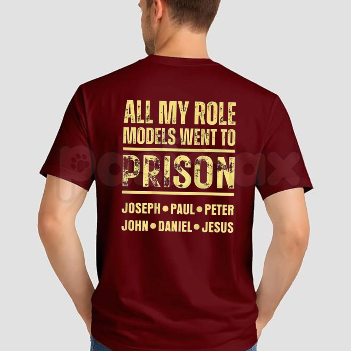 All My Role Models Went to Prison T-Shirt – Edgy Sarcastic Back Print Graphic Tee