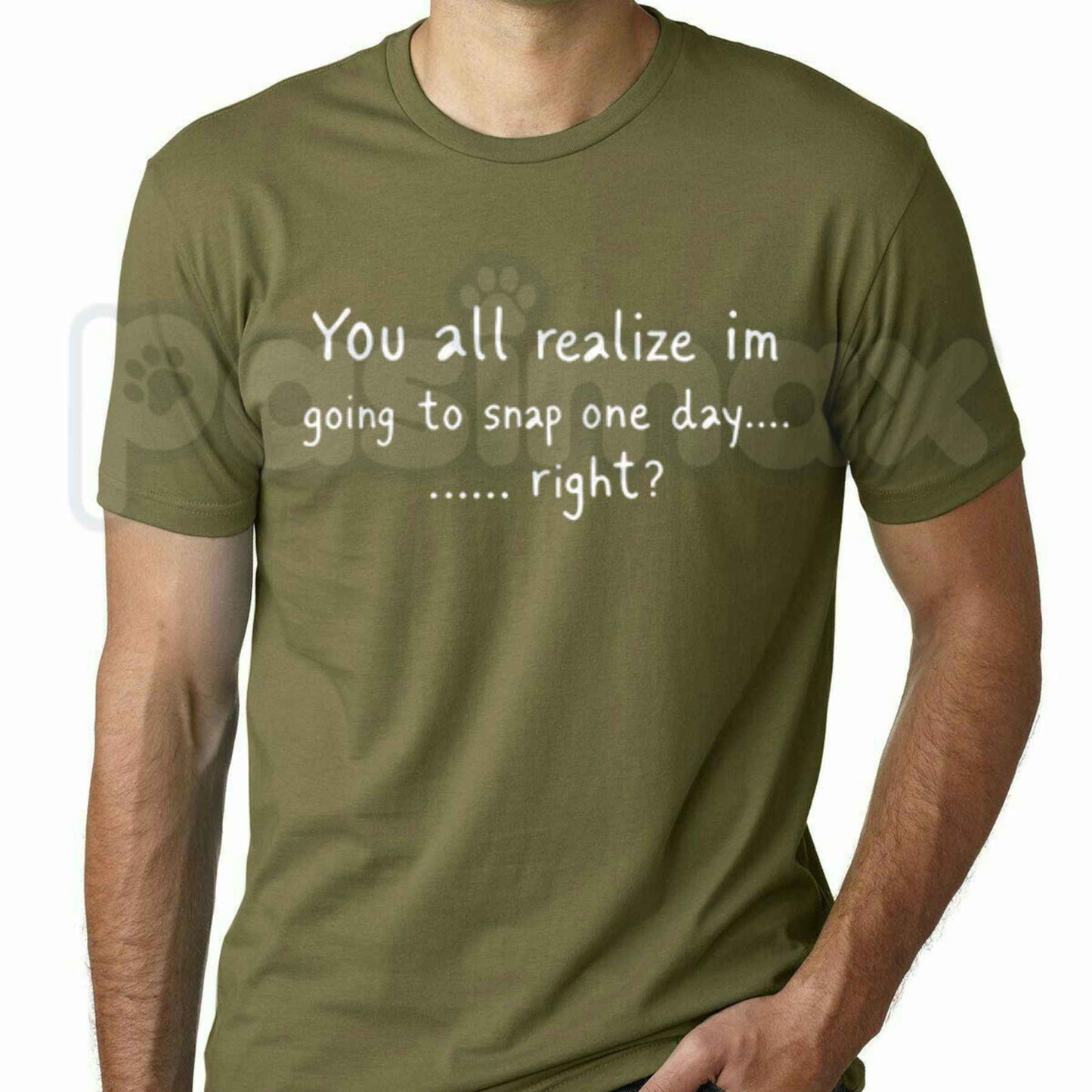 You All Realize Im Going To Snap One Day Right T-Shirt – Funny Sarcastic Humor Unisex Tee