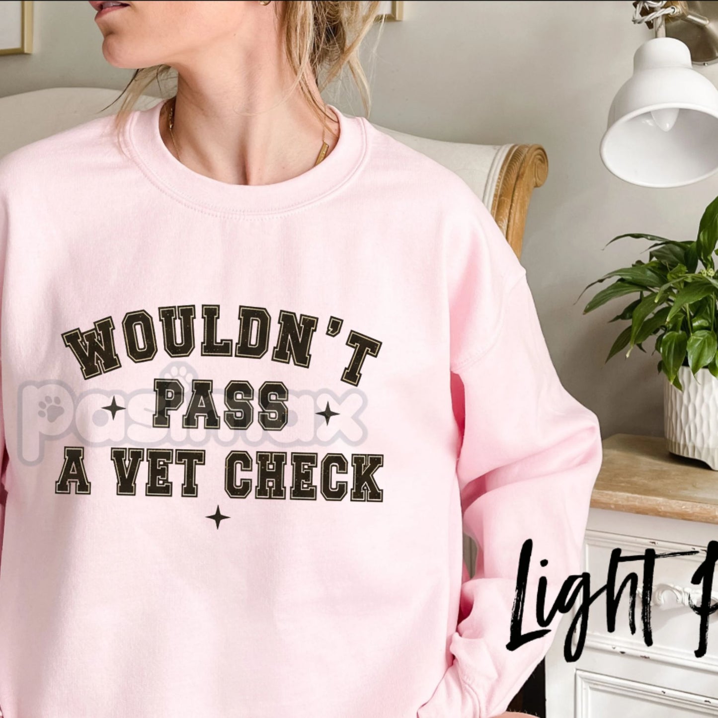 "Wouldn't Pass A Vet Check" Sweatshirt – Funny Sarcastic Vet Tech & Pet Lover Crewneck