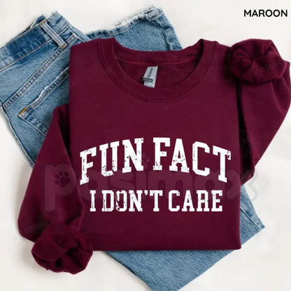 Fun Fact I Don't Care Sweatshirt | Sarcastic College Sweatshirt | Funny Academic Burnout Crewneck | Relatable Student Jumper | Minimalist Sassy Pullover | University Style Sarcasm Shirt