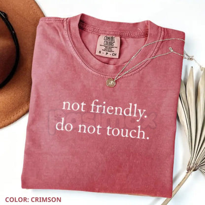 'Not Friendly Do Not Touch' Comfort Colors® T-Shirt – Sarcastic Anti-Social Tee, Funny Introvert Shirt, Vintage Vibe