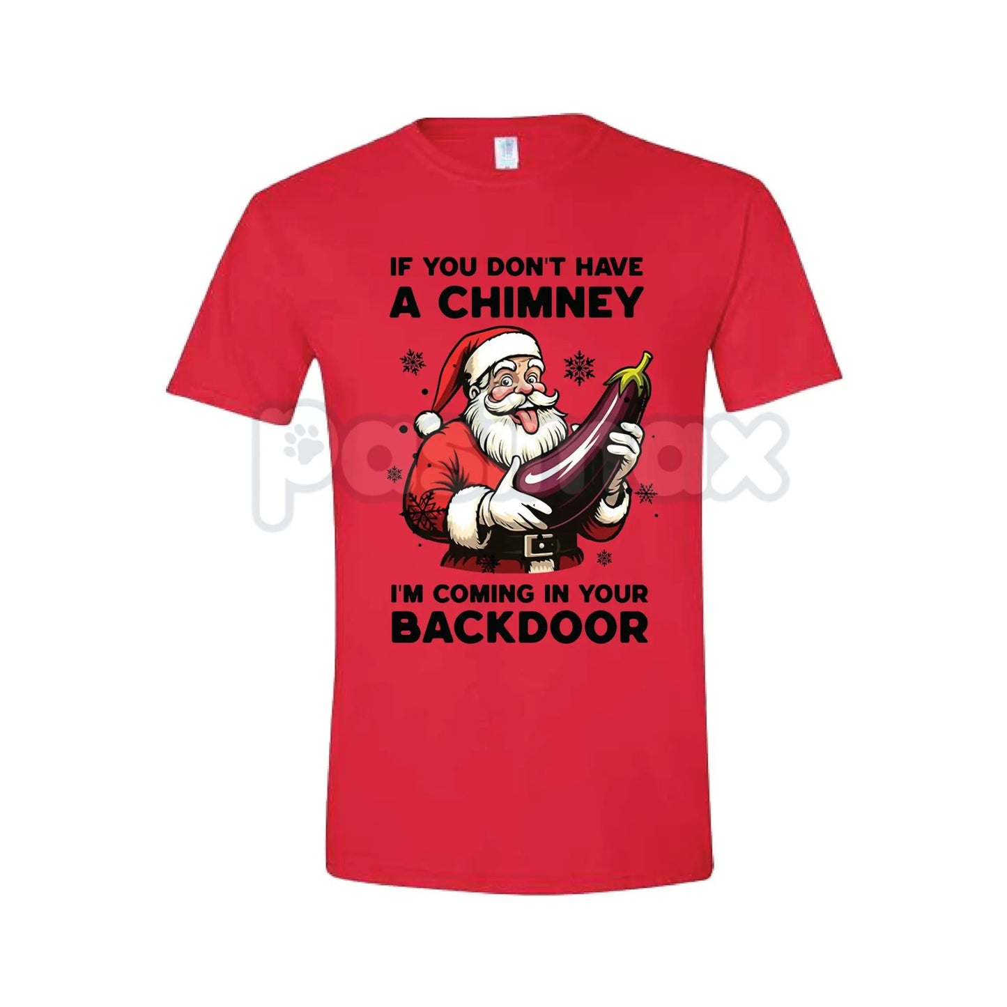 Backdoor Santa Christmas Joke T-Shirt - Funny Naughty Holiday Slogan Tee, Retro R&B Music Gift, Soft & Comfortable Xmas Top-Pasimax