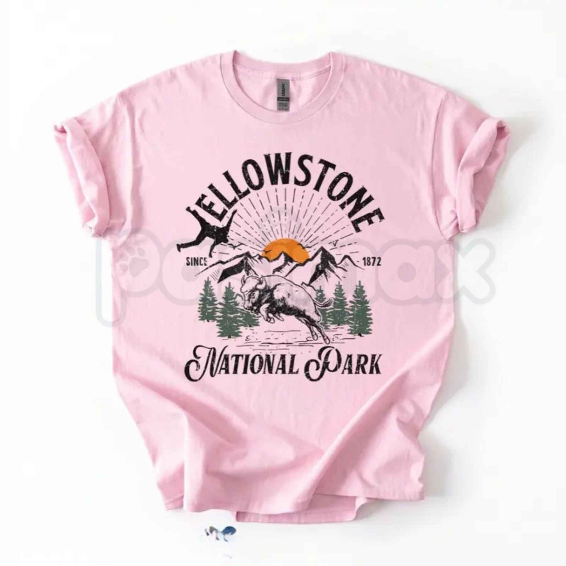 Comfort Colors® Bison Yellowstone National Park T-Shirt – Family Vacation Trip Matching Camp Graphic Tee, Retro Wildlife Wanderlust Unisex Top-Pasimax