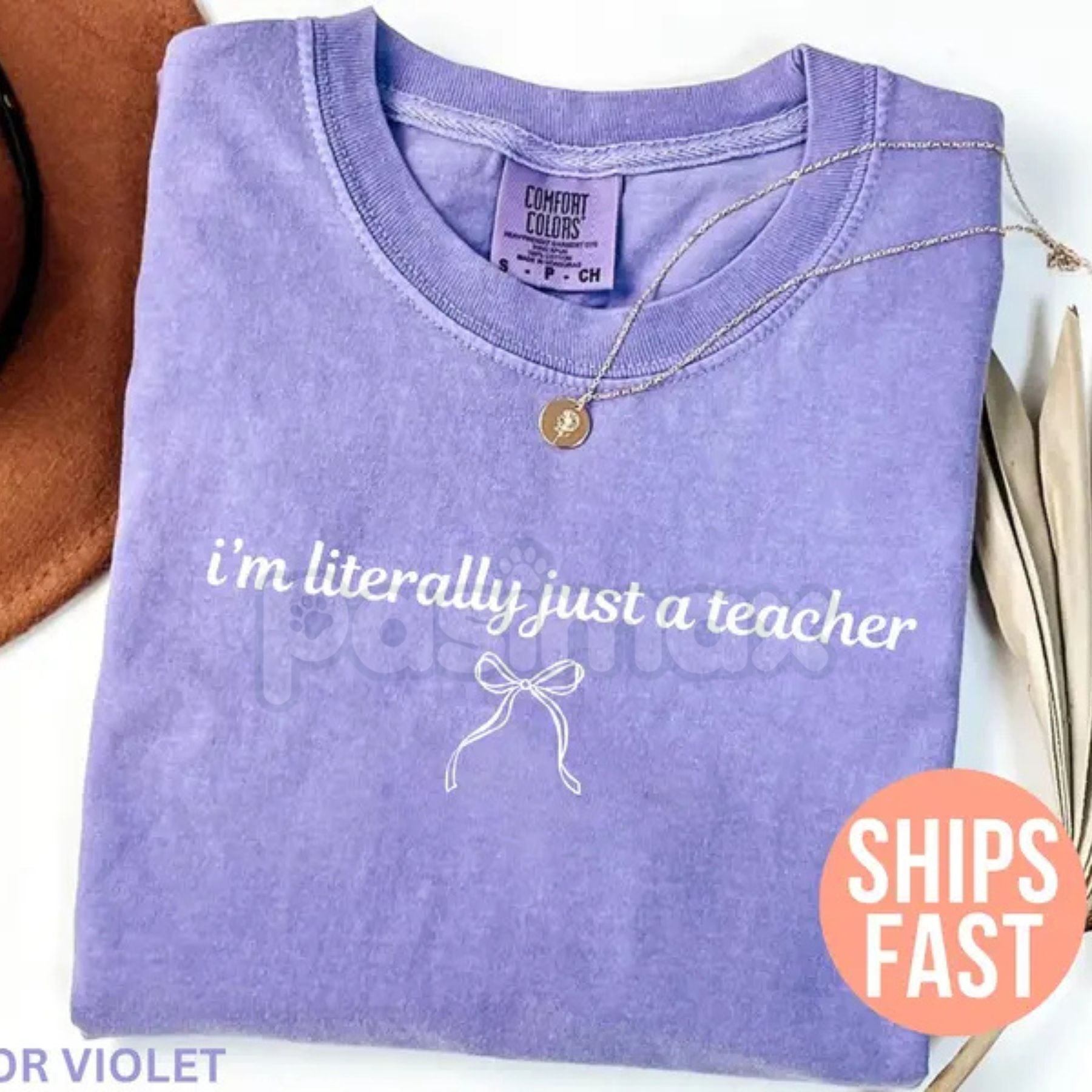 Comfort Colors® 'I'm Literally Just a Teacher' T-Shirt – Funny Teacher Appreciation Shirt, Back to School Humor-Pasimax