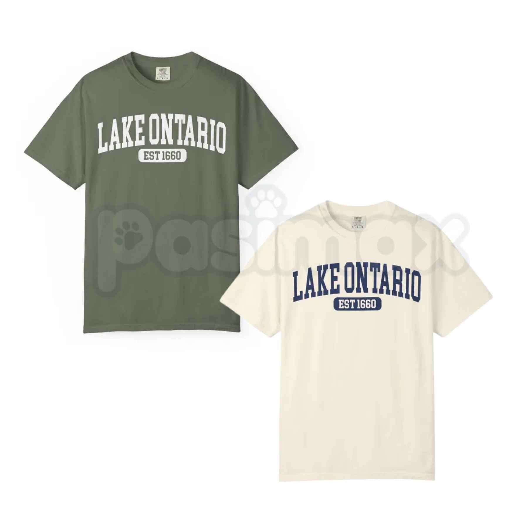 Comfort Colors® Lake Ontario Est. 1660 T-Shirt – Funny Canada Political Satire Graphic Tee, Great Lakes Border Humor Unisex Top-Pasimax