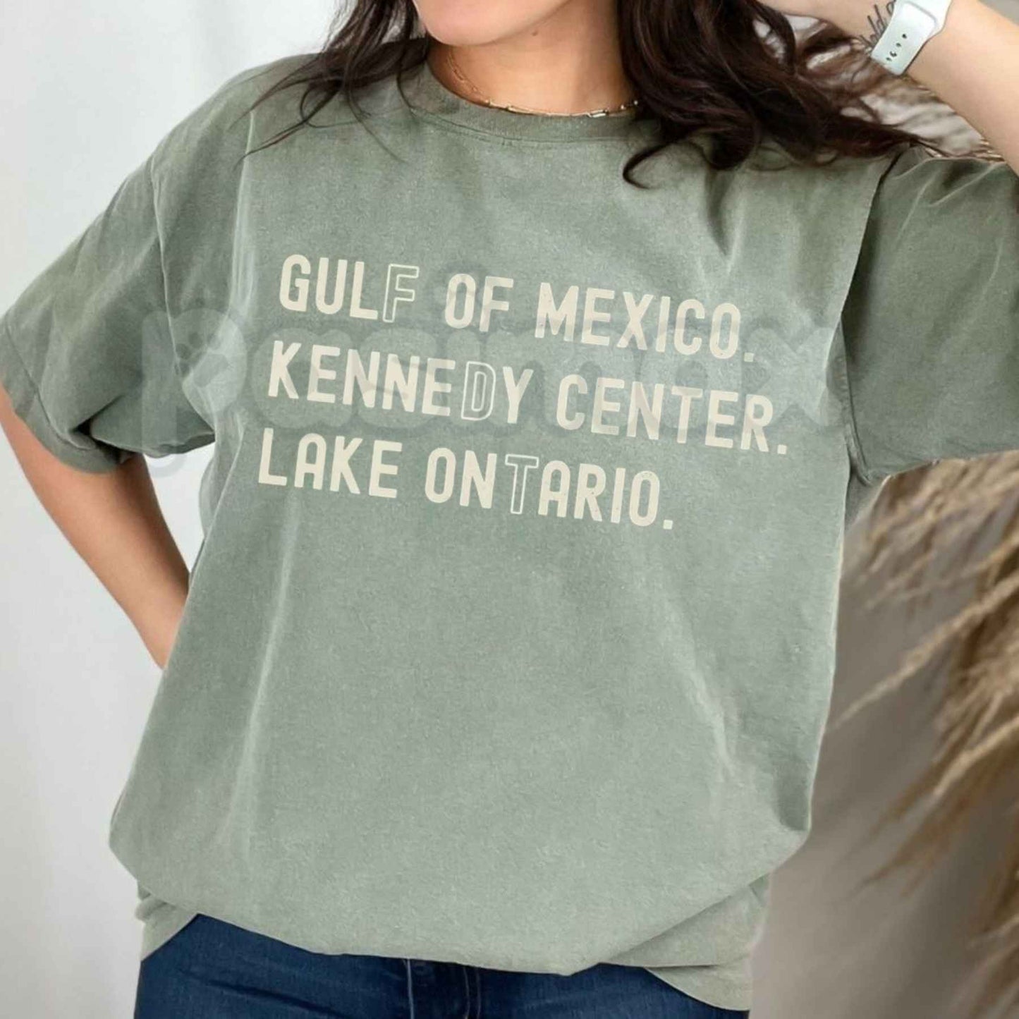 Comfort Colors® Lake Ontario Kennedy Center T-Shirt – Subtle Funny FDT Protest Graphic Tee, Pro-Democracy Activism Unisex Top-Pasimax