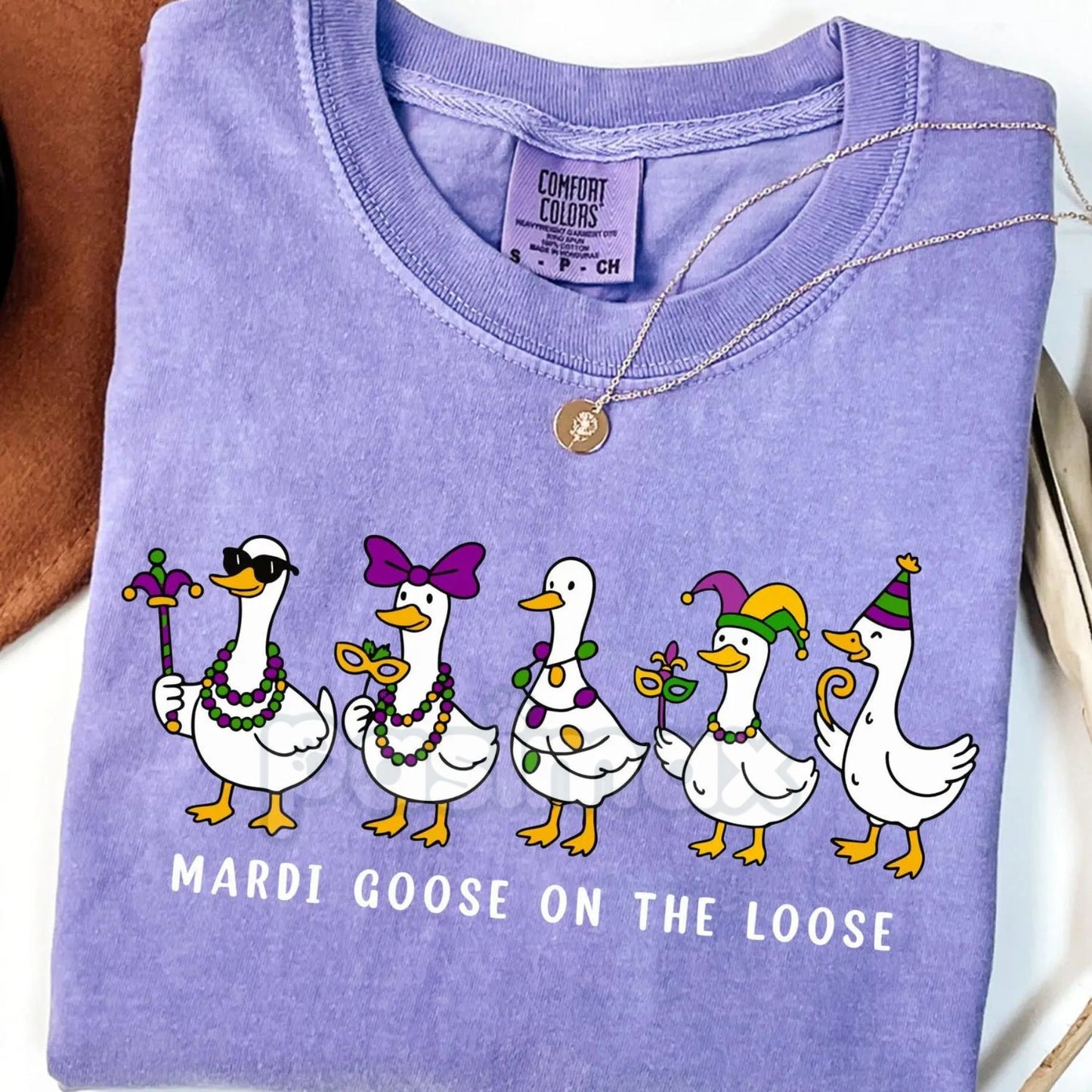 Comfort Colors® Retro Mardi Gras Silly Goose T-Shirt – Groovy Carnival 2026 Shirt, NOLA Party Goose Graphic Tee, Vintage Louisiana Festival Top-Pasimax