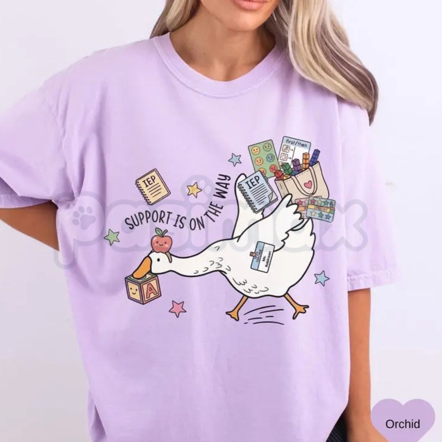 Comfort Colors® Silly Goose Special Education Teacher T-Shirt – Funny SPED Teacher Gift, Aesthetic Inclusive Classroom Tee, Sarcastic Educator Shirt-Pasimax