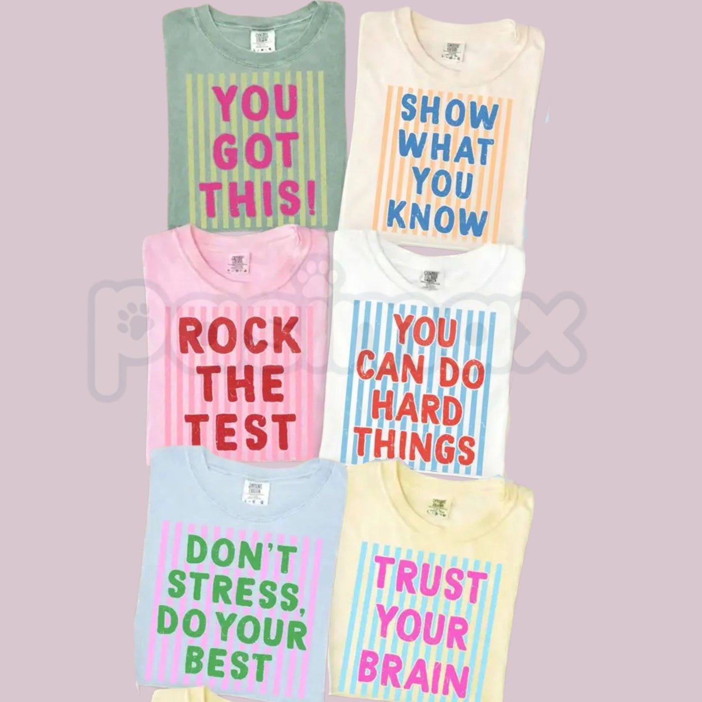 Comfort Colors® Test Day Teacher T-Shirt – Matching State Testing Team Tees, Funny Testing Season Graphic Shirt, Aesthetic Educator Exam Day Outfit-Pasimax