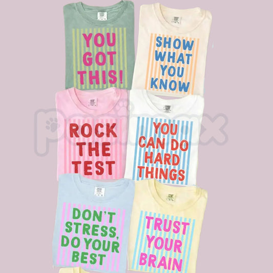 Comfort Colors® Test Day Teacher T-Shirt – Matching State Testing Team Tees, Funny Testing Season Graphic Shirt, Aesthetic Educator Exam Day Outfit-Pasimax