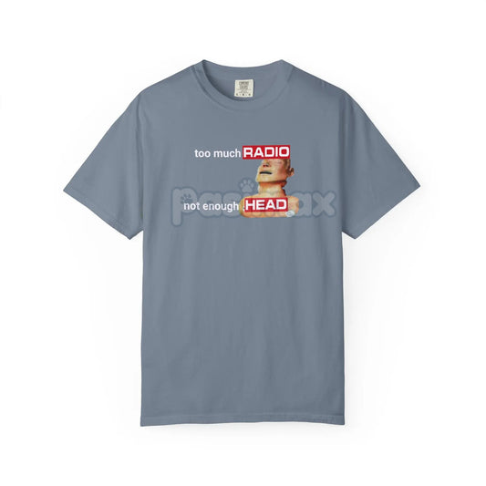 Comfort Colors 'Too Much Radio, Not Enough Head' Shirt – Vintage Audio Critic Tee, Classic Rock Nostalgia, Authentic Music Fan Gift-Pasimax