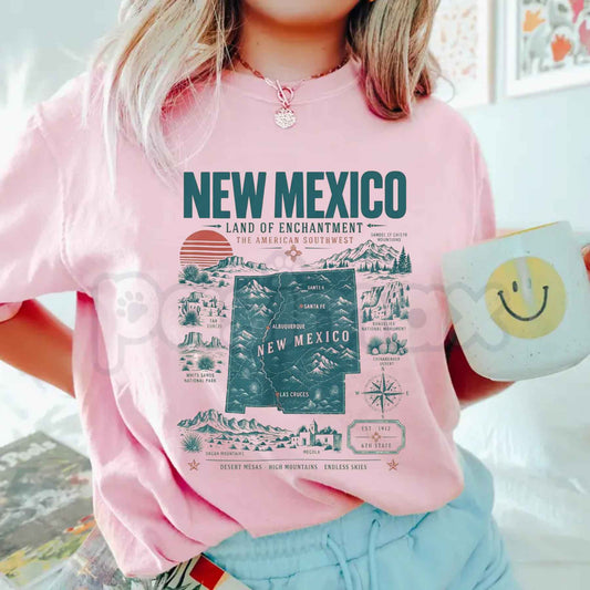 Comfort Colors® Vintage New Mexico Long Sleeve Shirt – Land of Enchantment Graphic Tee, Southwest Desert Unisex Top & Gift-Pasimax