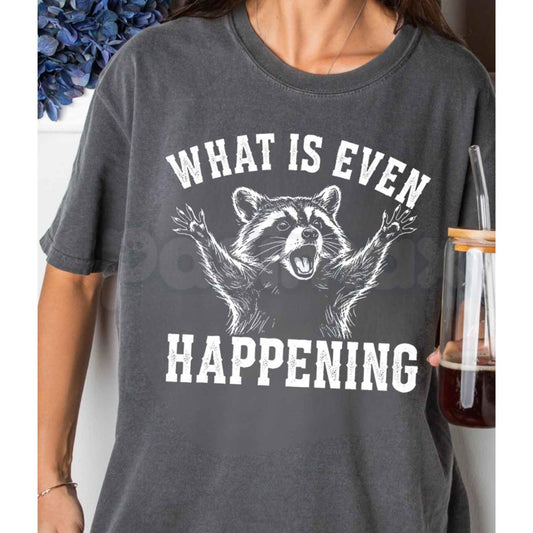 Comfort Colors® What Is Even Happening T-Shirt – Funny Raccoon Meme Graphic Tee, Retro Chaos Energy Unisex Top-Pasimax
