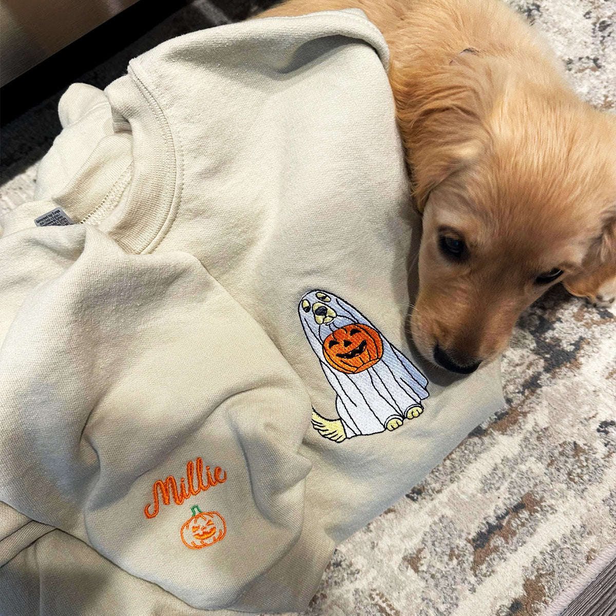 Custom Embroidered Halloween Ghost Dog Sweatshirt Hoodie with Dog's Name on Sleeve