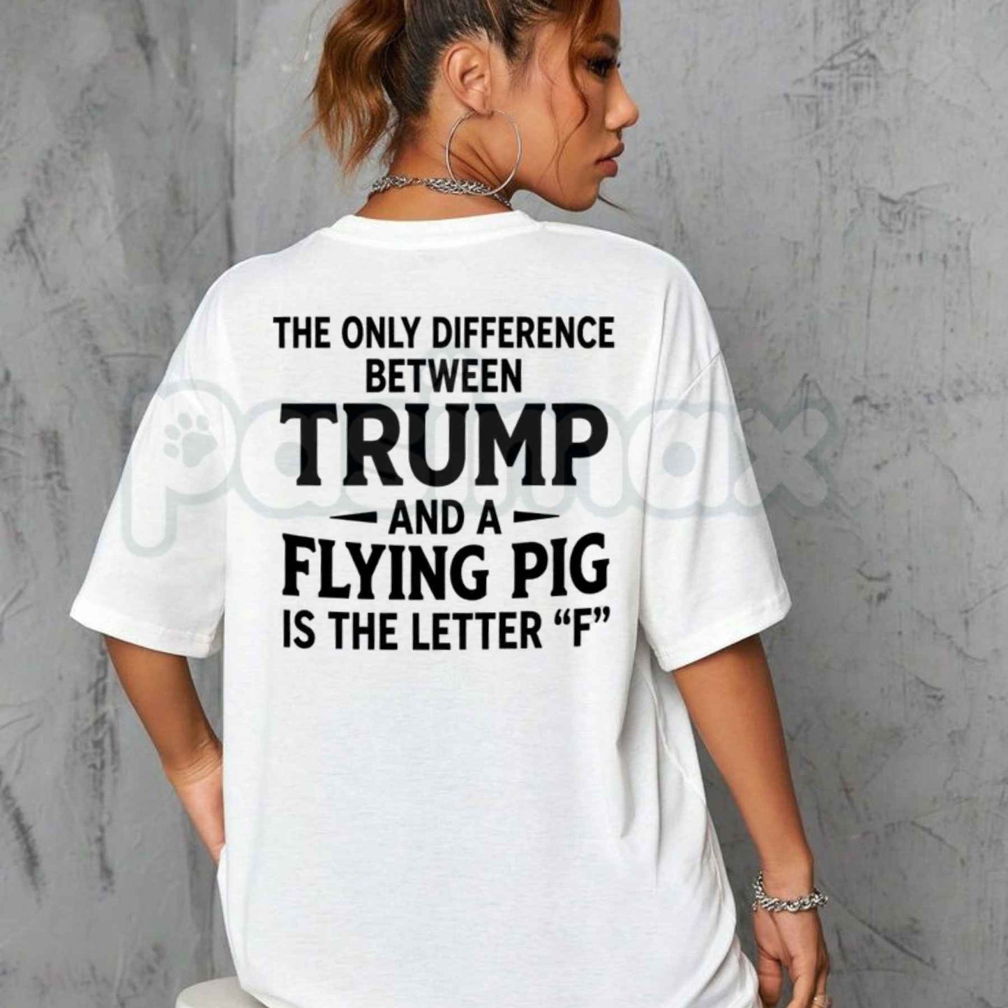 Difference Between Trump And A Flying Pig T-Shirt – Funny Political Humor Unisex Graphic Tee-Pasimax