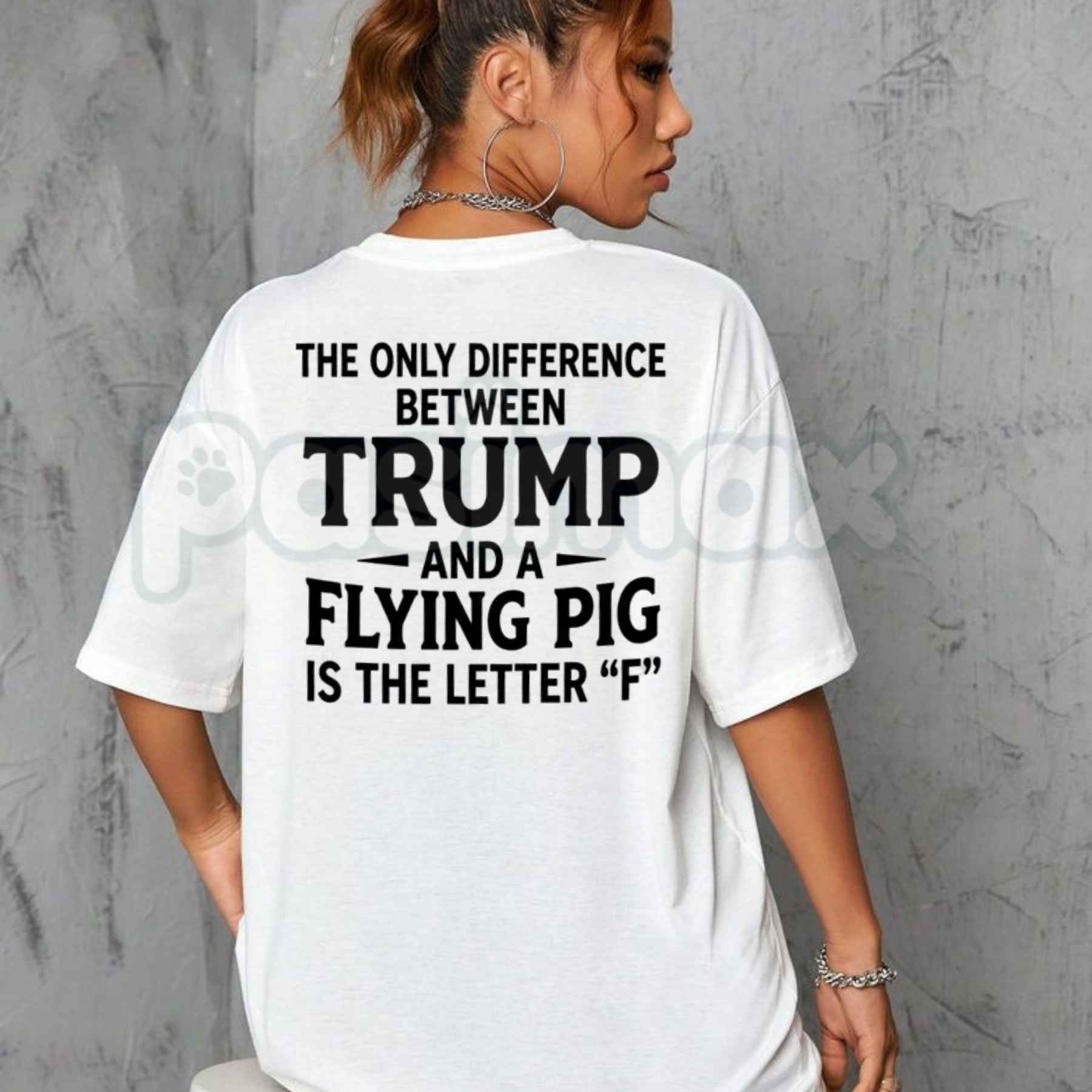 Difference Between Trump And A Flying Pig T-Shirt – Funny Political Humor Unisex Graphic Tee-Pasimax