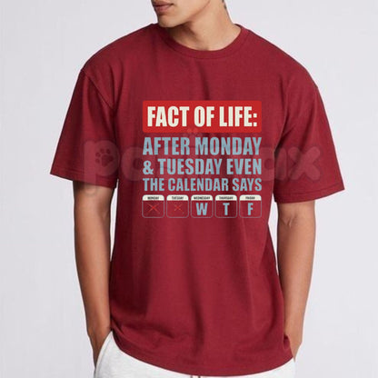 Funny "Fact Of Life WTF Calendar" T-Shirt – Sarcastic Workweek Humorous Graphic Tee-Pasimax