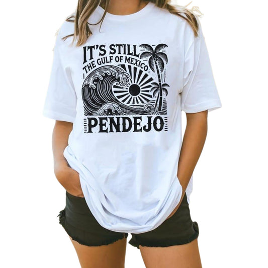 Funny Geography T-Shirt – 'It's Still The Gulf Of Mexico, Pendejo!' Bold Satire Tee, Sarcastic Humor Shirt, Political Statement Top, Unisex Gag Gift-Pasimax