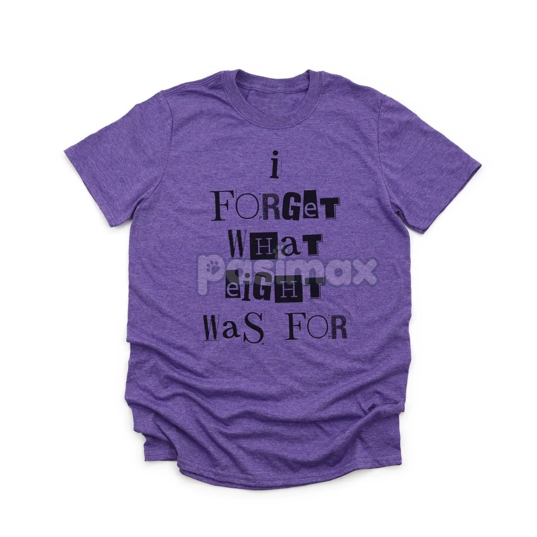 'I Forget What Eight Was For' Subversive T-Shirt – Violent Femmes Lyric Tee, Cult Classic Alternative Music Merch, Acoustic Punk Apparel-Pasimax