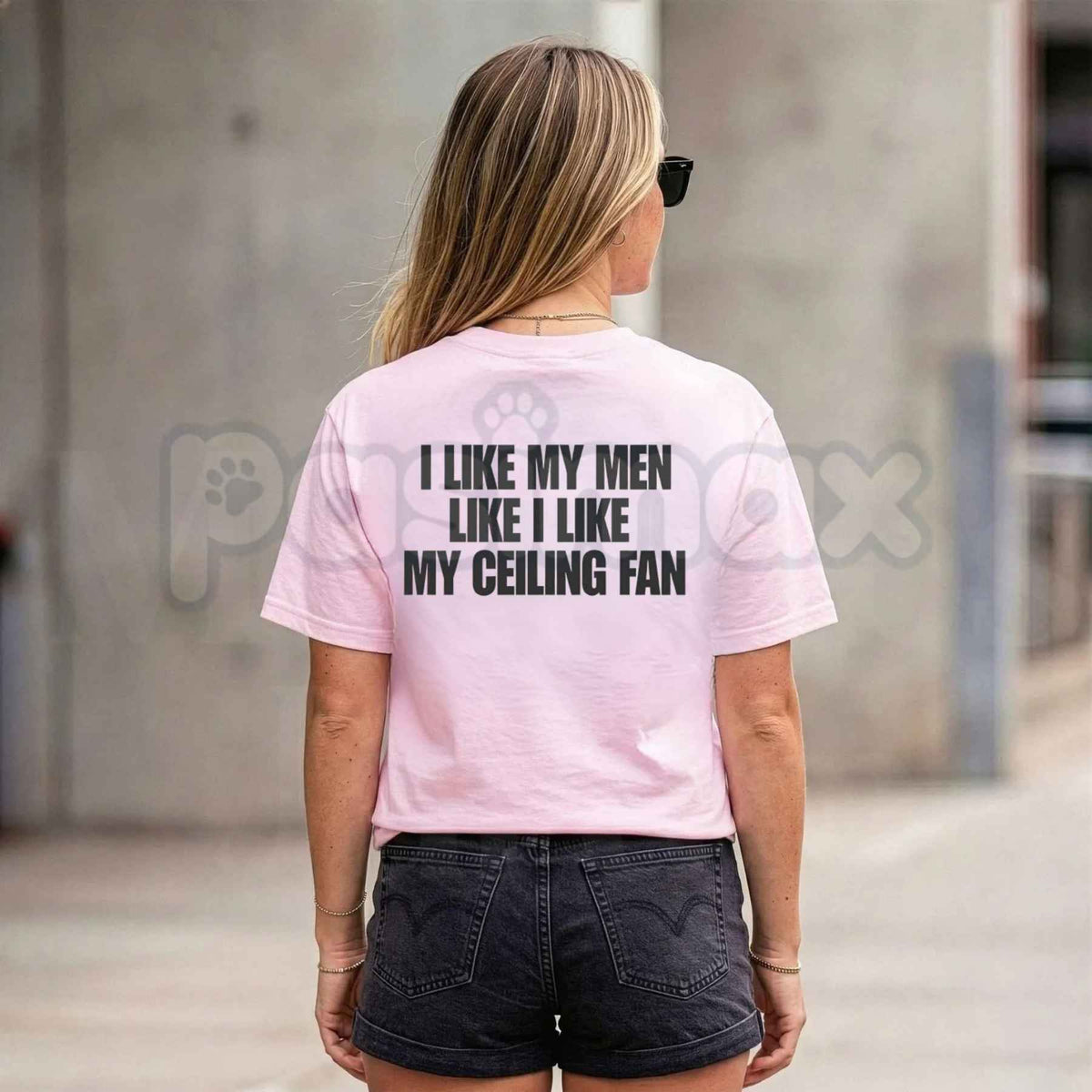 I Like My Men Like I Like My Ceiling Fan T-Shirt – Funny Sarcastic Humorous Unisex Tee-Pasimax