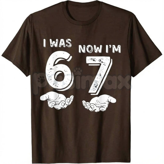 "I Was 6, Now I'm 7" Meme Birthday T-Shirt - Funny 7th Birthday Hands Graphic Tee, Viral Six Seven Kid Meme Shirt, Seven Year Old Birthday Gift-Pasimax