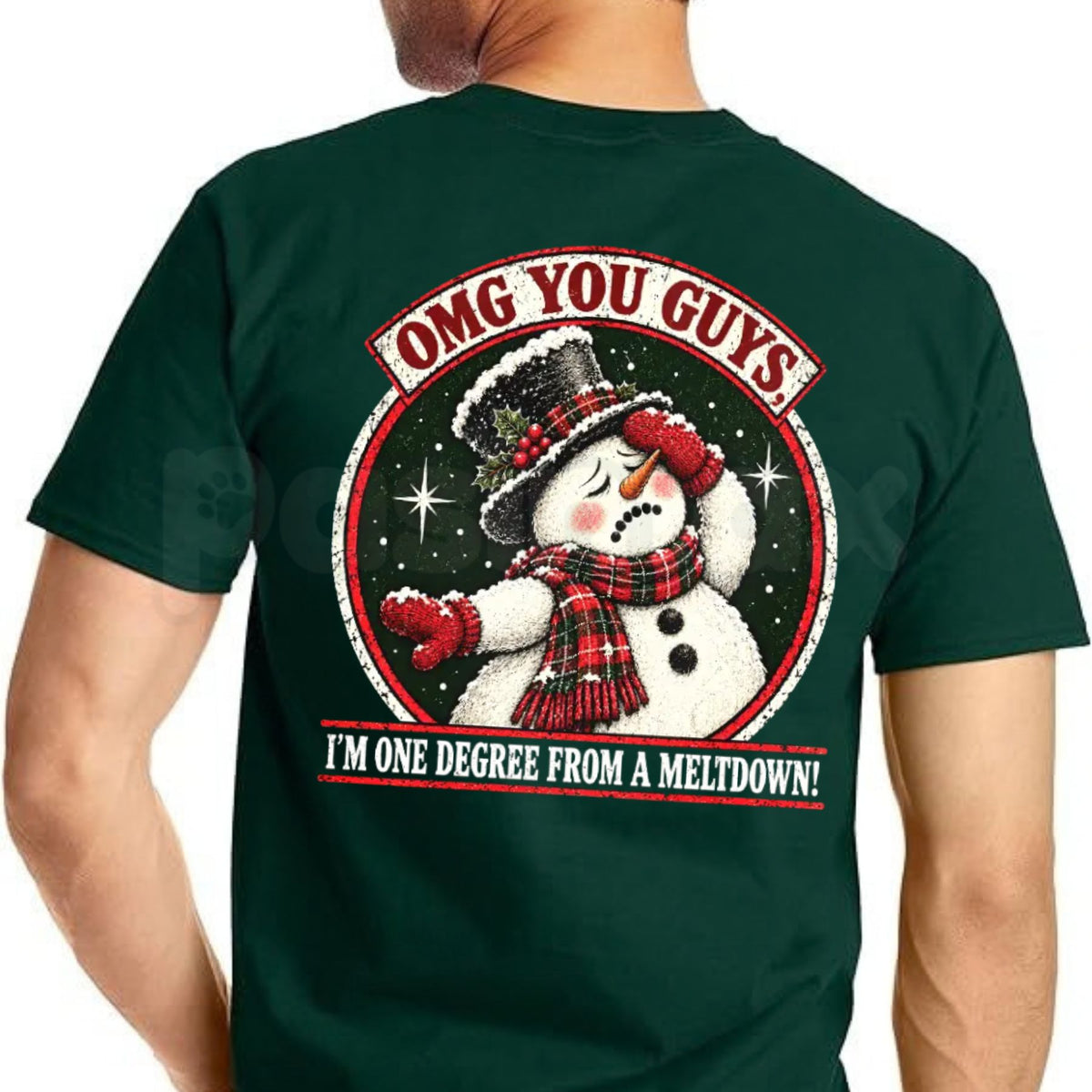 OMG You Guys I'm One Degree From A Meltdown Snowman T-Shirt – Funny Winter Humor Tee-Pasimax