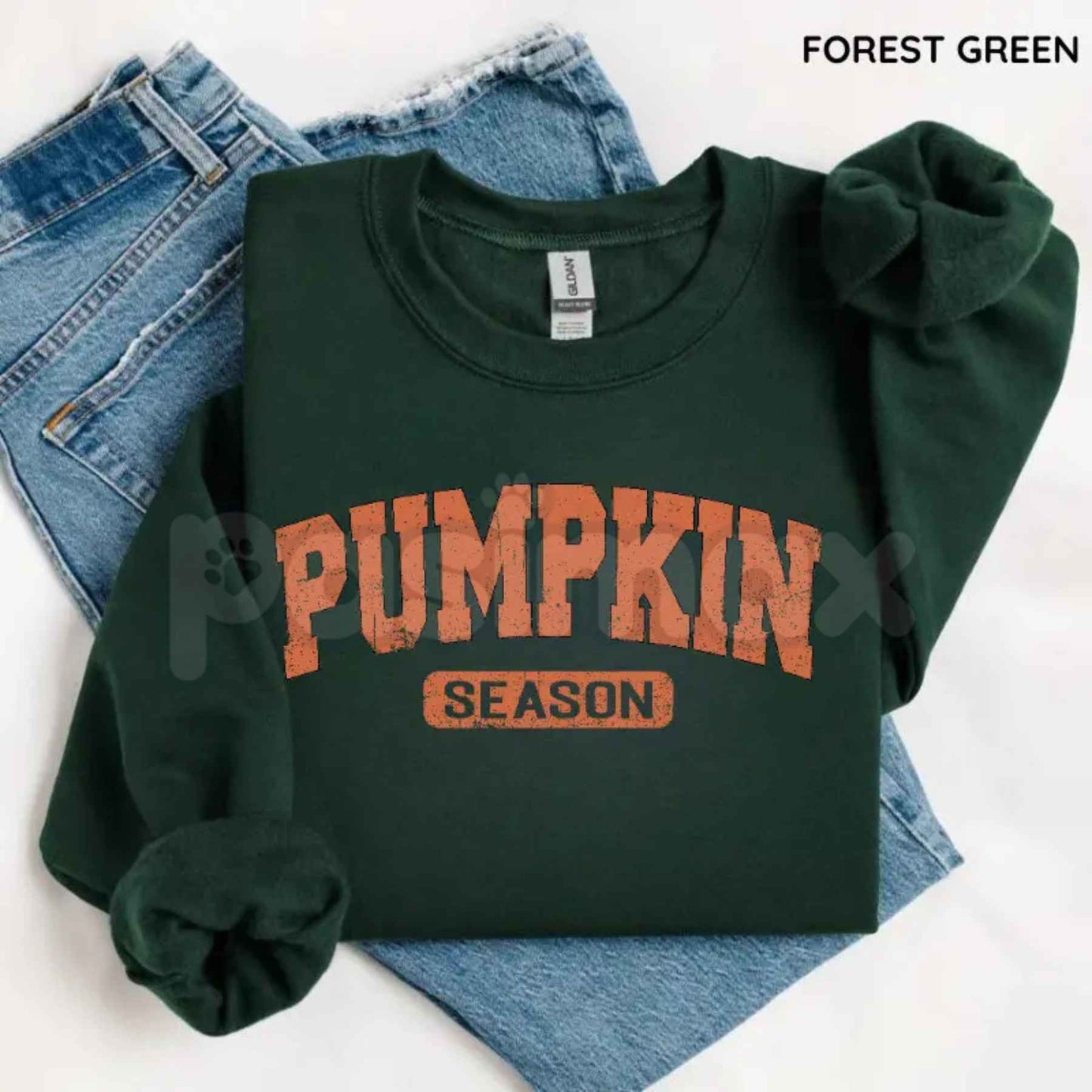 Retro Pumpkin Season Sweatshirt | Cute Fall Autumn Pullover-Pasimax