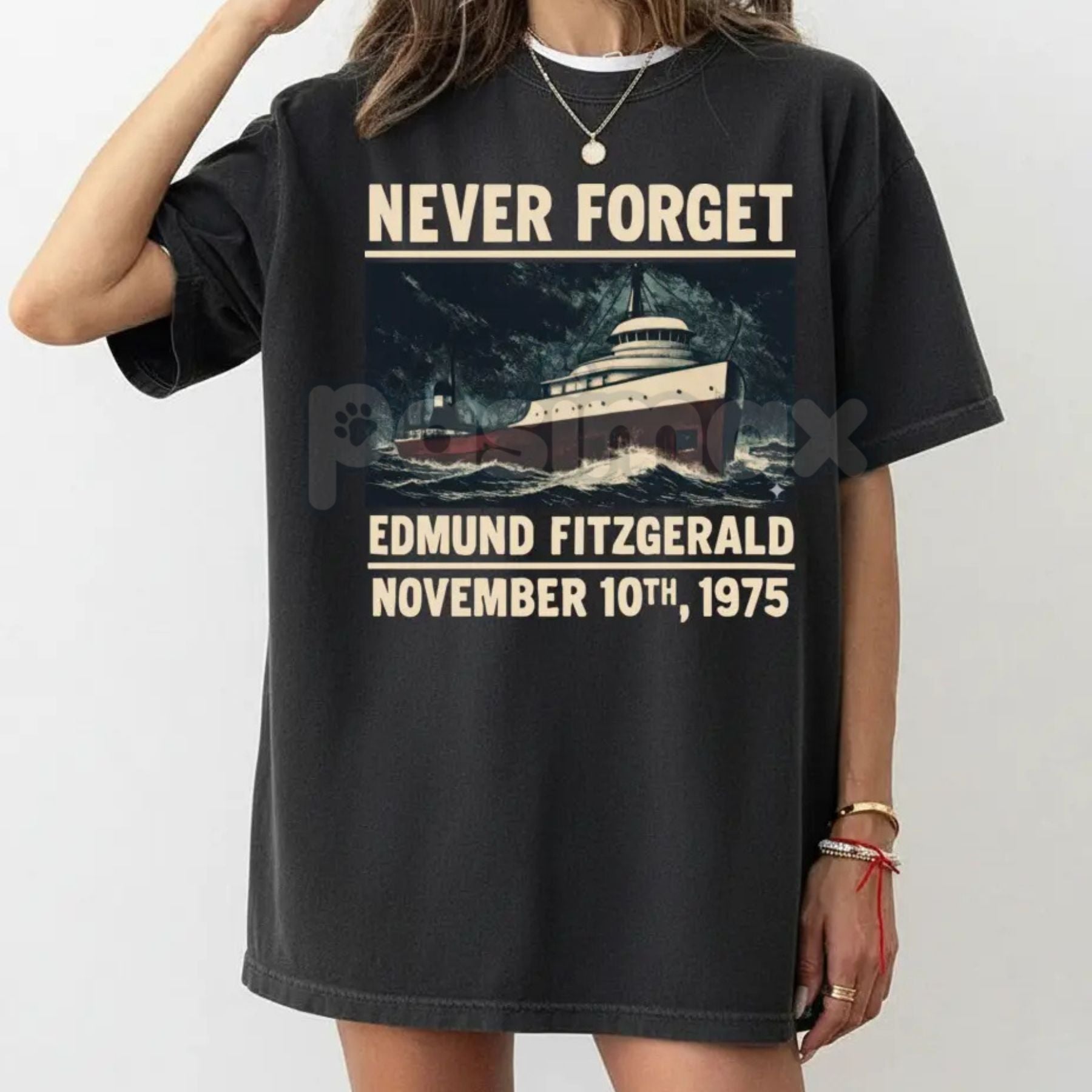 SS Edmund Fitzgerald Memorial Comfort Colors® T-Shirt – Great Lakes Tribute Shirt, Vintage Shipwreck History Tee-Pasimax