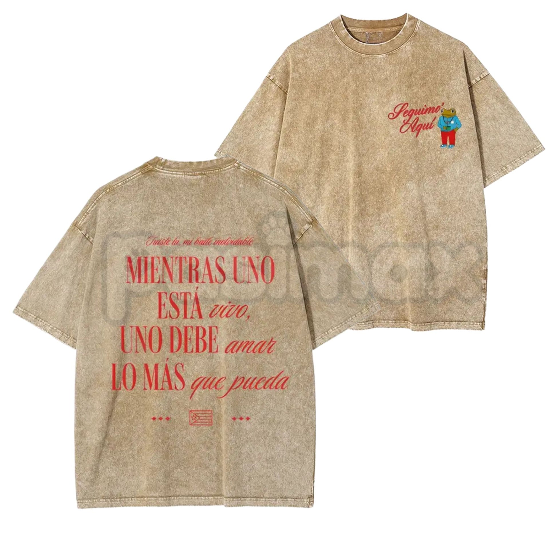 Seguimo Aqui Sapo Concho Washed T-Shirt – Puerto Rican Reggaeton Streetwear, Perreo Babe Graphic Tee-Pasimax