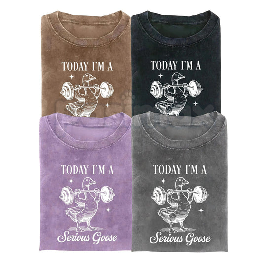 Today I'm a Serious Goose Funny T-Shirt – Men’s Vintage Washed Graphic Tee, Lightweight Sarcastic Animal Streetwear Top-Pasimax