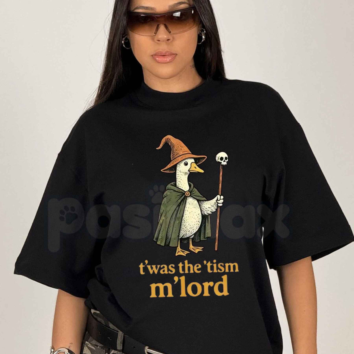 Twas The Tism M Lord Silly Goose T-Shirt – Funny Neurodivergent Meme Unisex Tee-Pasimax