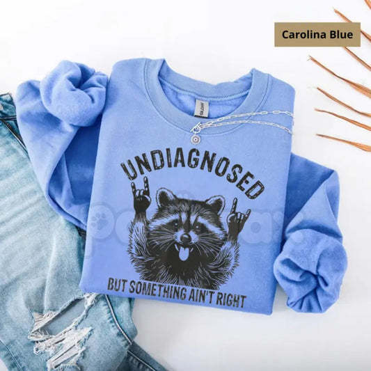 Undiagnosed But Something Ain't Right Raccoon Sweatshirt | Funny Neurospicy Trash Panda Crewneck | Sarcastic Raccoon Humor Jumper | Mental Health Awareness Satire Pullover | Aesthetic Chaotic Raccoon Graphic Top | Relatable Adult Humor Shirt-Pasimax