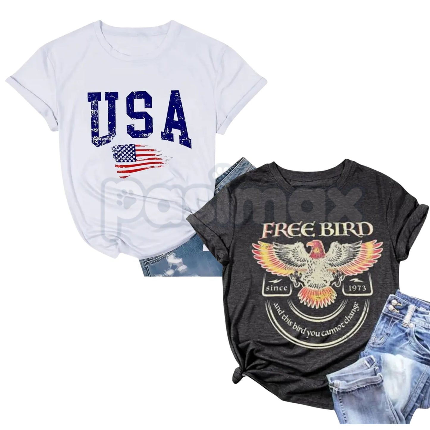 Vintage Rock Band 90s Grunge T-Shirt – Aesthetic Alt-Rock Concert Tee, Premium 100% Cotton Distressed Music Top, Soft Lived-In Heavyweight Retro Band Shirt, Made in USA-Pasimax