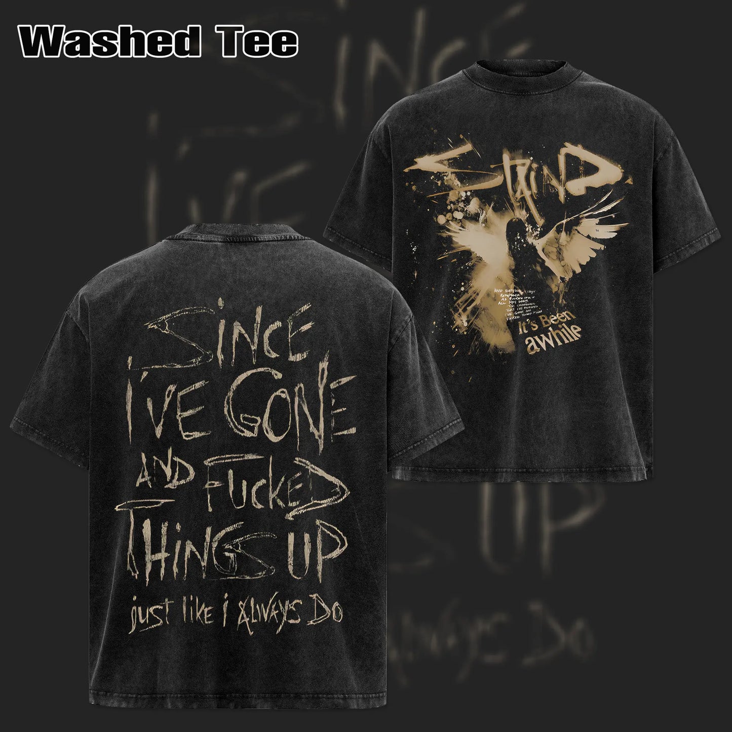 Retro Staind Break The Cycle Band T-Shirt – Nu-Metal Rock Graphic Tee, Vintage Washed Heavy Alternative Cotton Tour Top, Grunge Music Merch